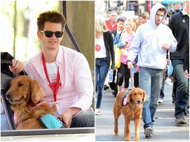 Andrew Garfield Pets