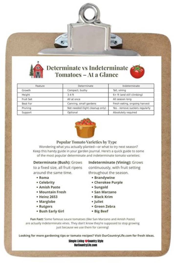 Are Amish paste tomatoes determinate or indeterminate?