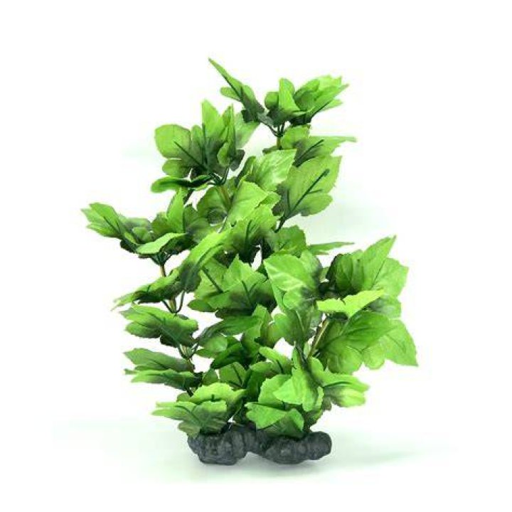 Are silk plants safe for aquariums?