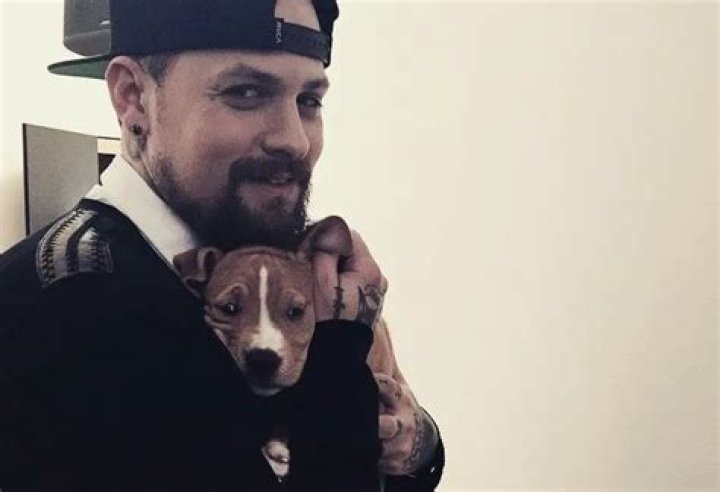 Benji Madden Pets