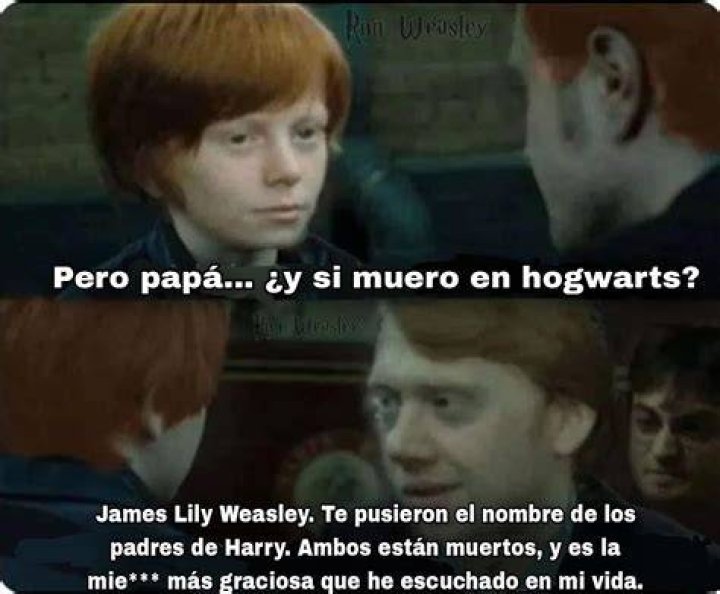 bitchy | harry nacho los padres