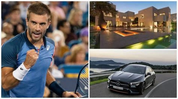 Borna Coric net worth