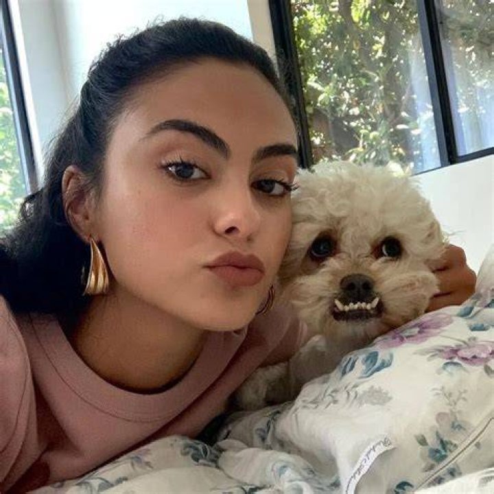 Camila Mendes Pets