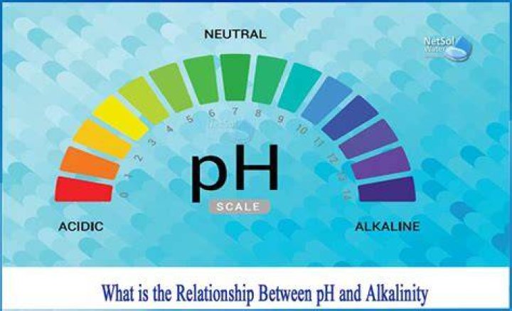 Can you add pH and alkalinity at the same time?