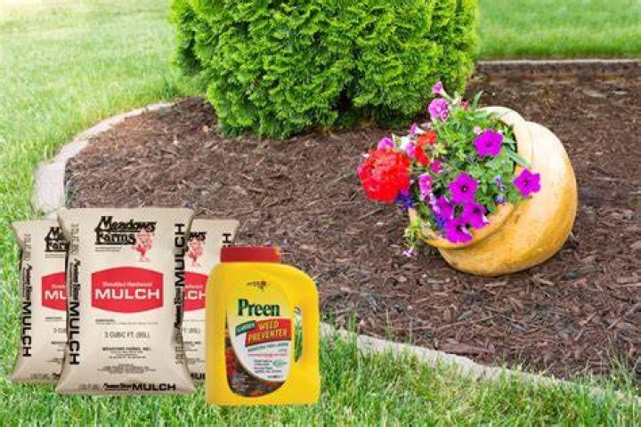 Can you apply Preen under mulch?