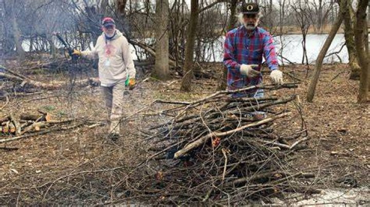 Can you burn buckthorn?