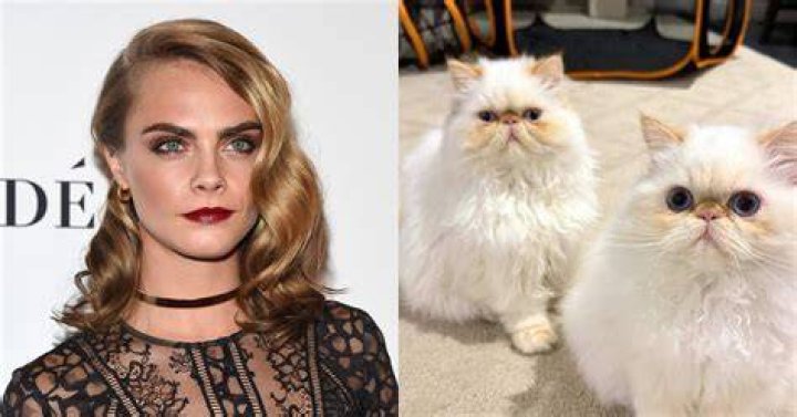 Cara Delevingne though her cats died in fire