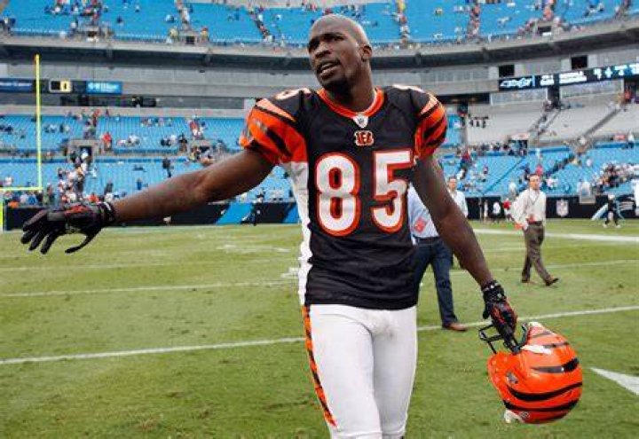 Chad Ochocinco photo 2