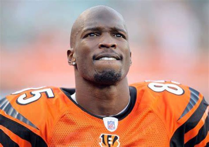 Chad Ochocinco photo