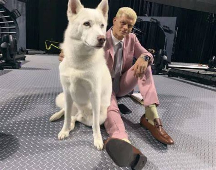 Cody Rhodes Pets