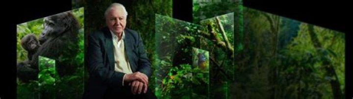 David Attenborough David Attenborough