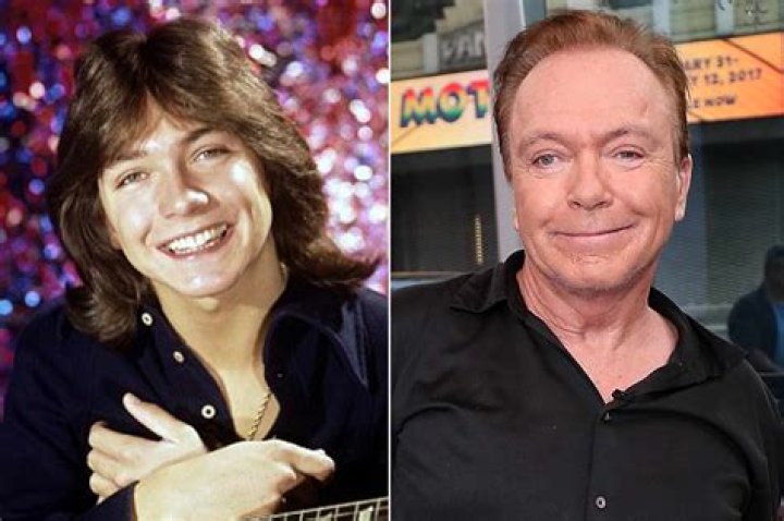 David Cassidy photo 2