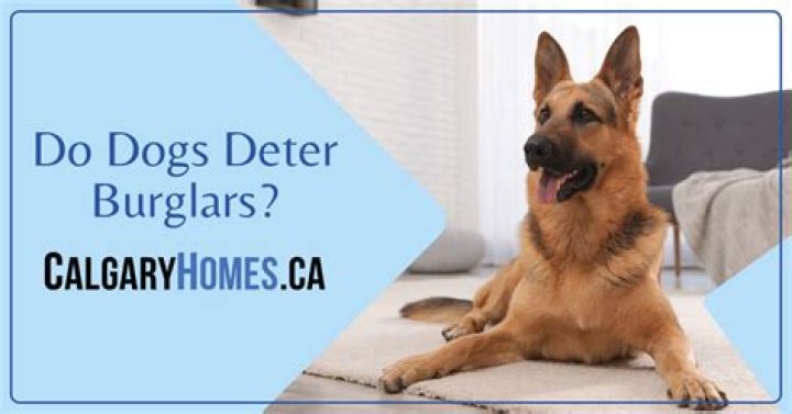 Do dogs deter break ins?