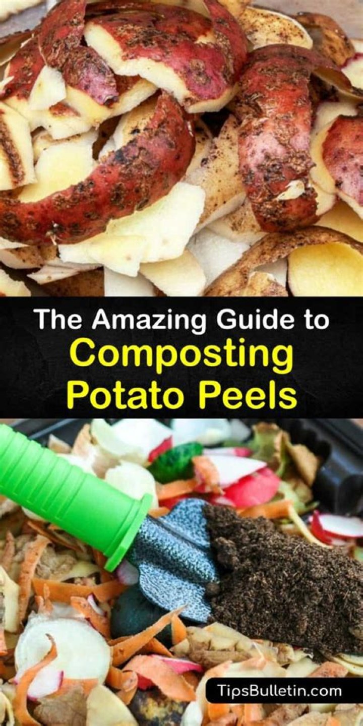 Do potato peels make good compost?