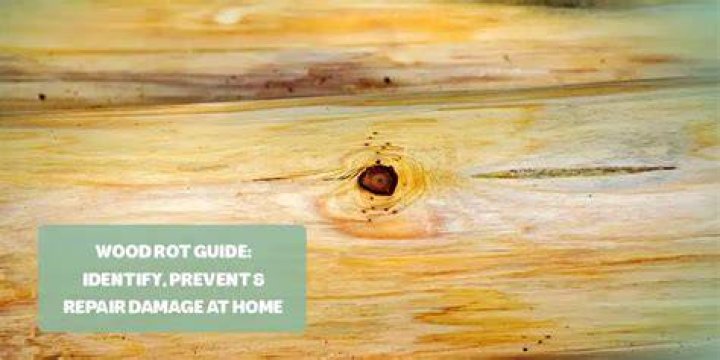 Does burning wood prevent rot?