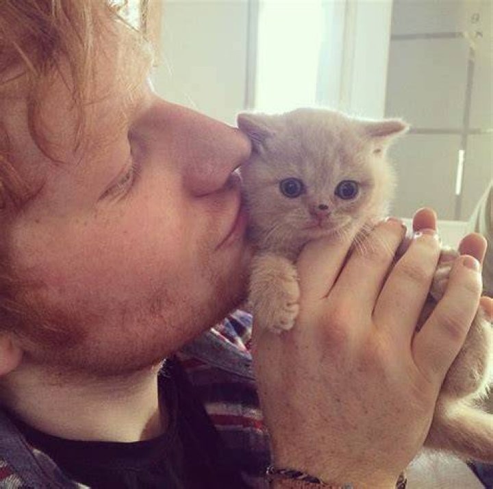 Ed Sheeran Pets