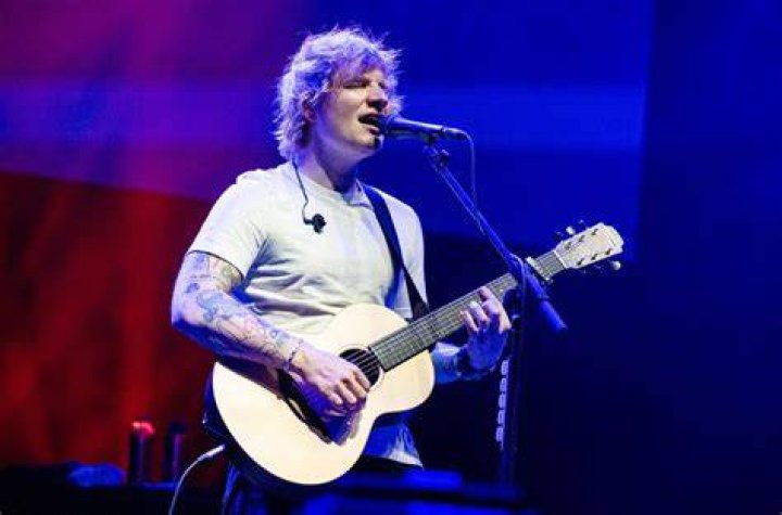 Ed Sheeran's pet Graham