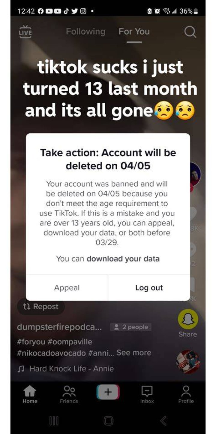 Fans not happy with TikTok star Ava Louise after she started the rumor of Kanye West dating Jeffrey Star! Is Kim Kardashian suing Ava Louise?