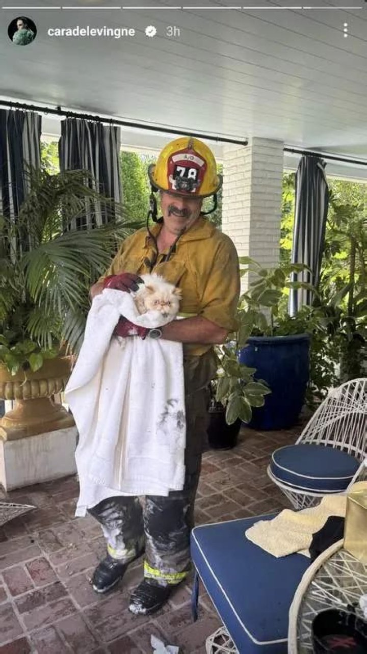 firefighter rescuing Cara Delevingne's cats