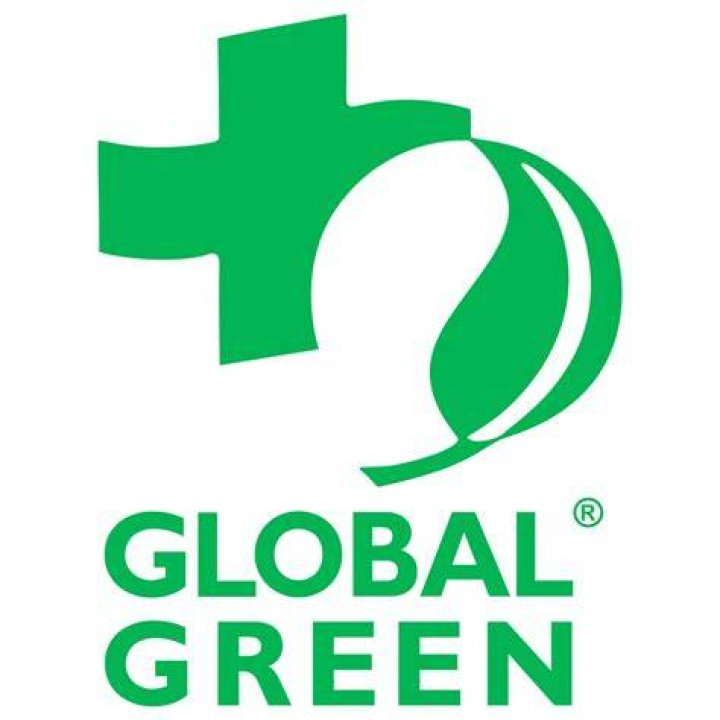 Global Green USA's 15th Annual Millennium Awards - Arrivals