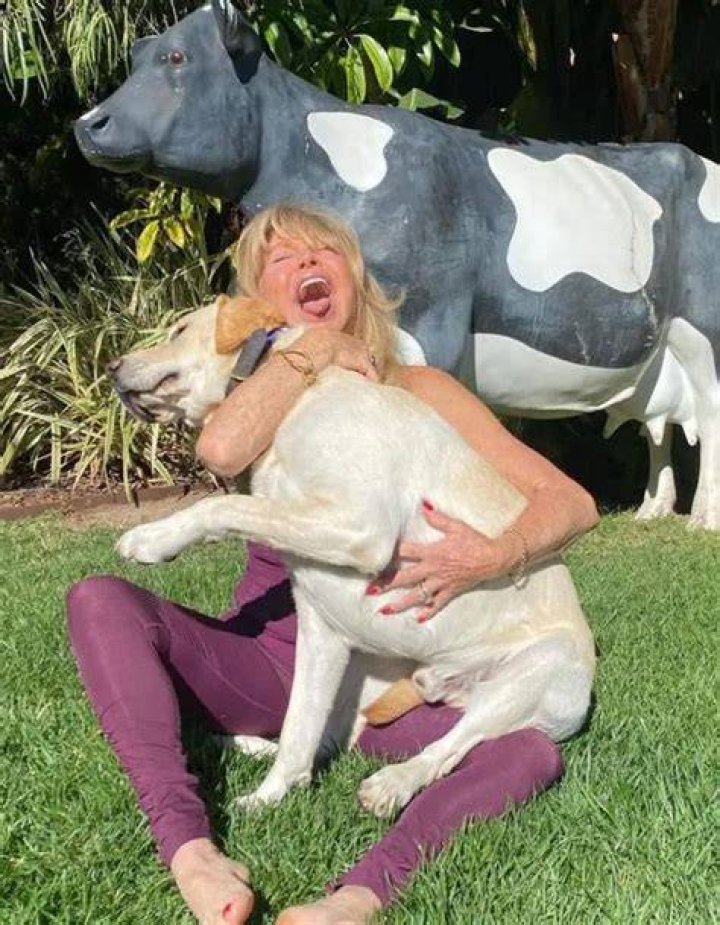 Goldie Hawn Pets