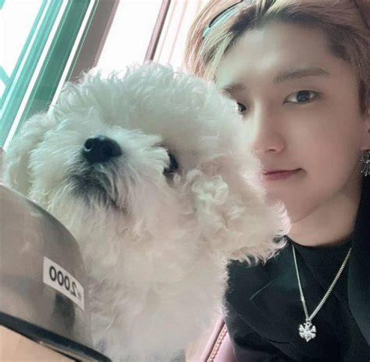 Han Jisung Pets