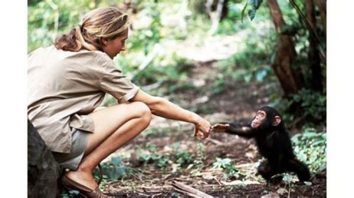 He is carrying the chimp as they are surrounded by white flowers.