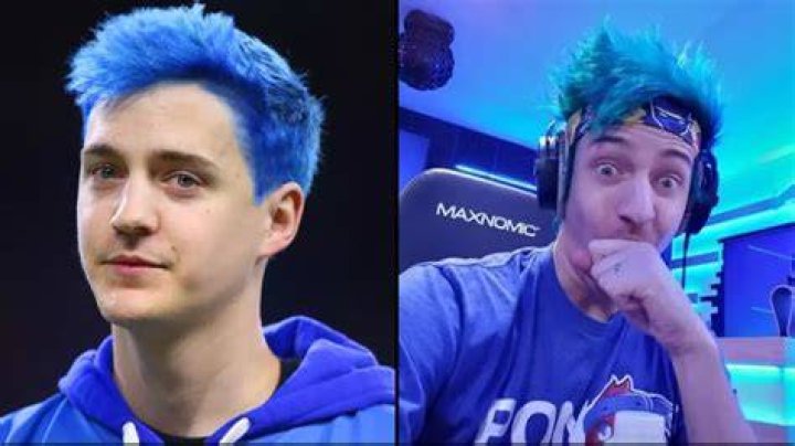 he YouTuber's Mr. Beast and Mark Rober organized a fundraising event called Team Trees.