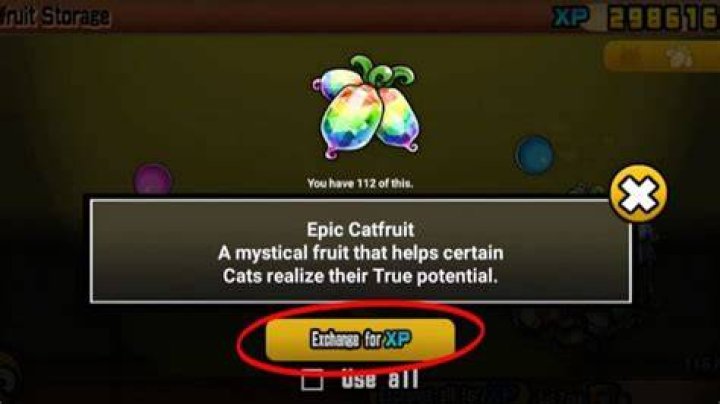 How do I get Catfruit in Battle Cats?