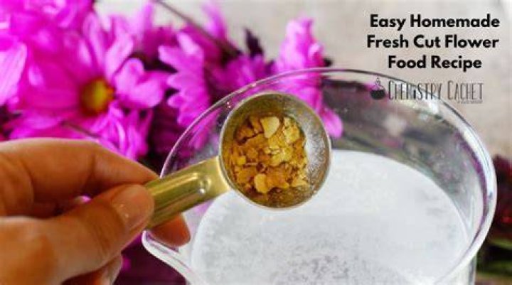 How do you make cut flower preservatives?
