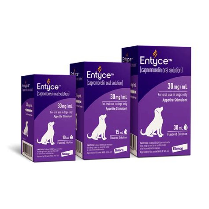 How long does it take for Entyce to work in dogs?