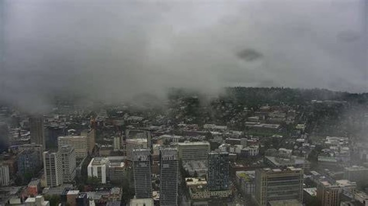 How many months does it rain in Washington state?