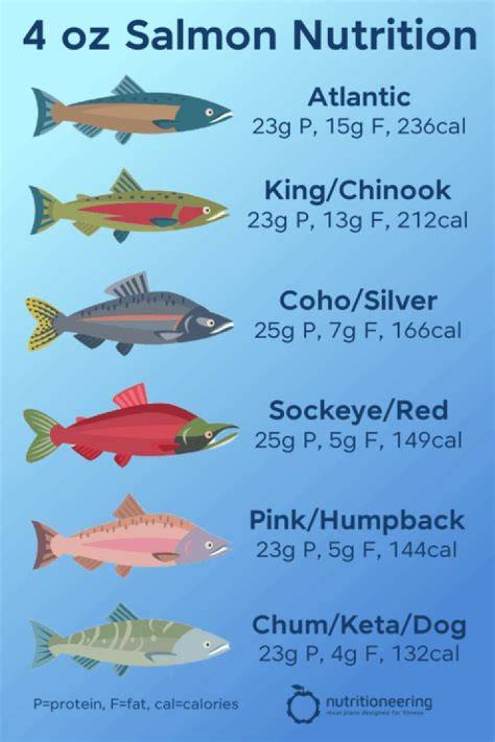 How much is 4 ounces salmon?