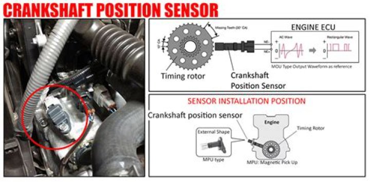How much is a crankshaft position sensor?