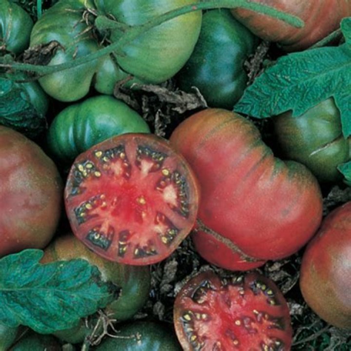 Is Black Krim tomato determinate or indeterminate?