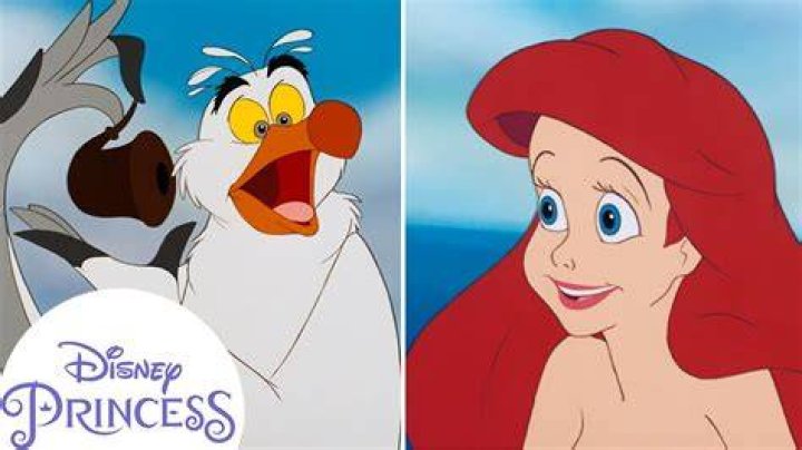 Is scuttle a boy or girl?