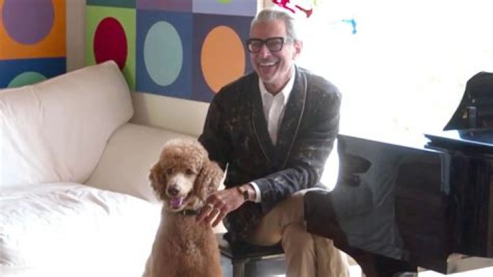 Jeff Goldblum Pets