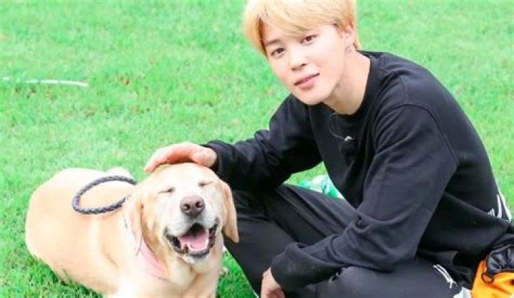 Jimin Pets