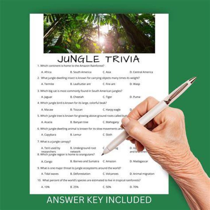 Jungle - Members, Ages, Trivia