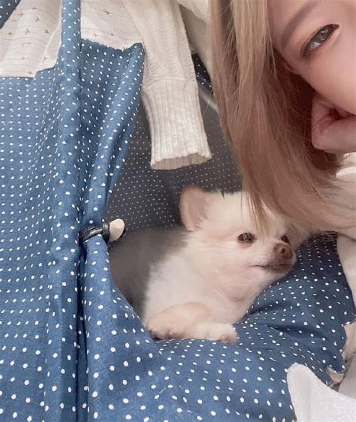 kkatamina (Miyoung Kim) Pets