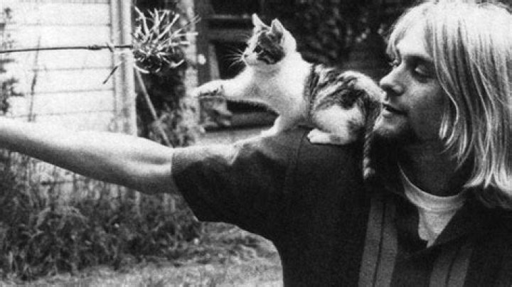 Kurt Cobain Pets