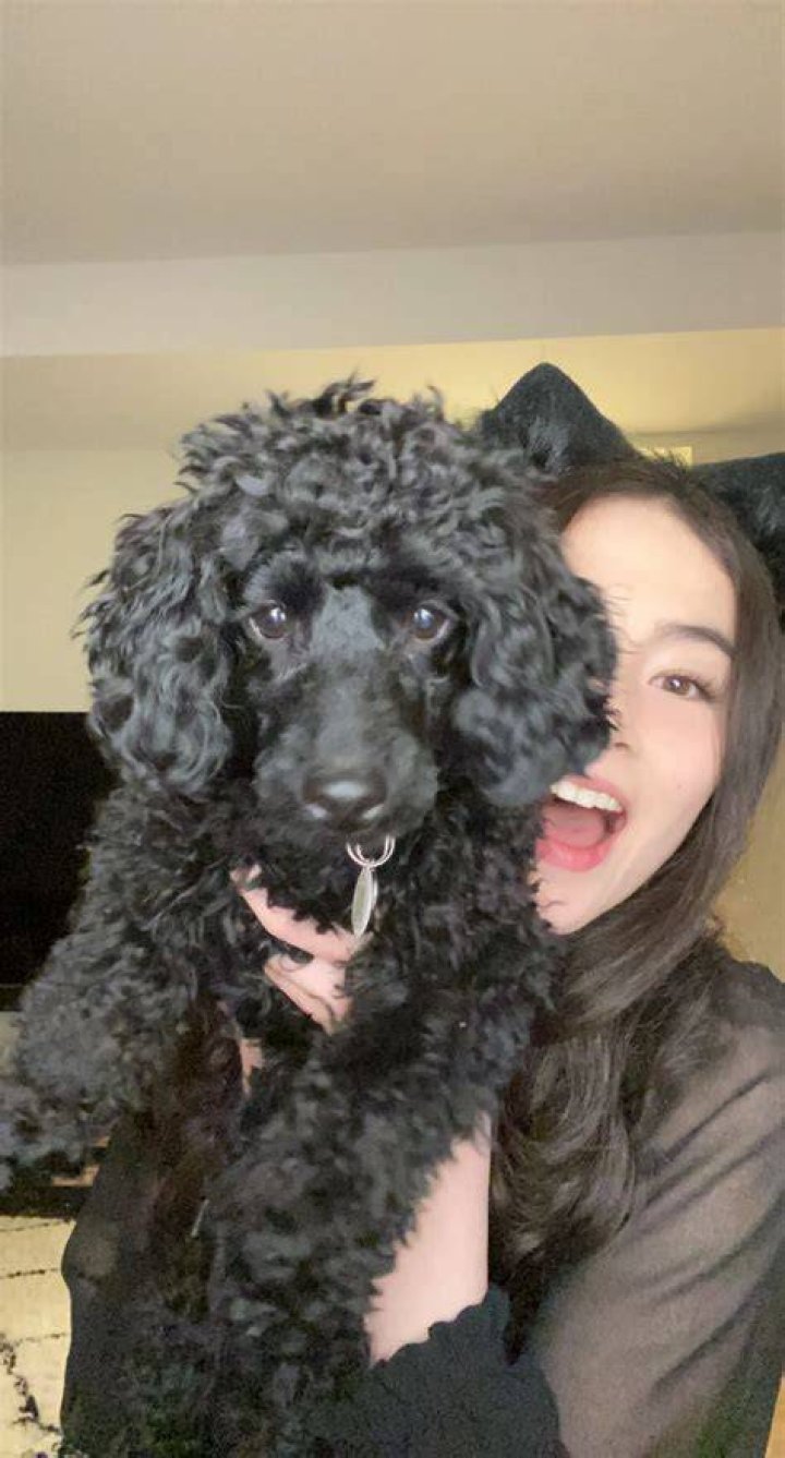 Kyedae Pets