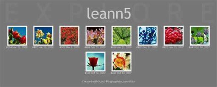 leann5 leann5
