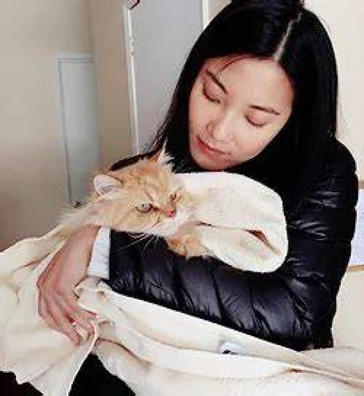 Lily Gao Pets
