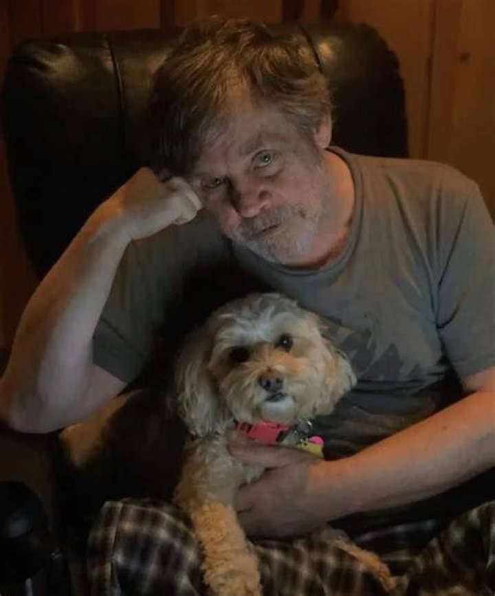 Mark Hamill Pets