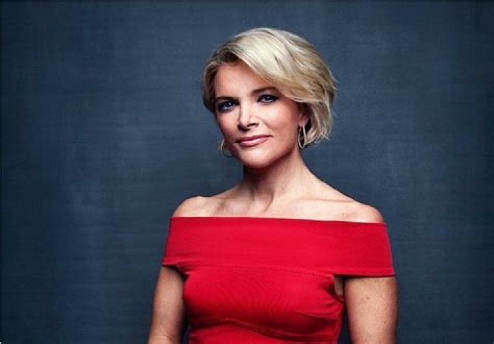 Megyn Kelly Bio (Wiki) 