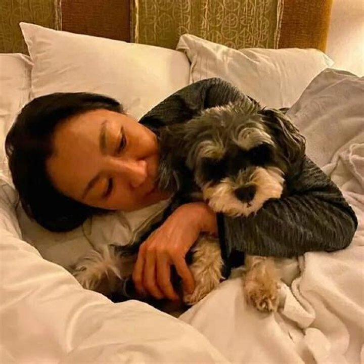 Michelle Yeoh Pets