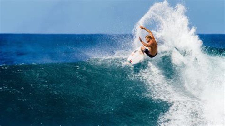 Mick Fanning's pet Harper