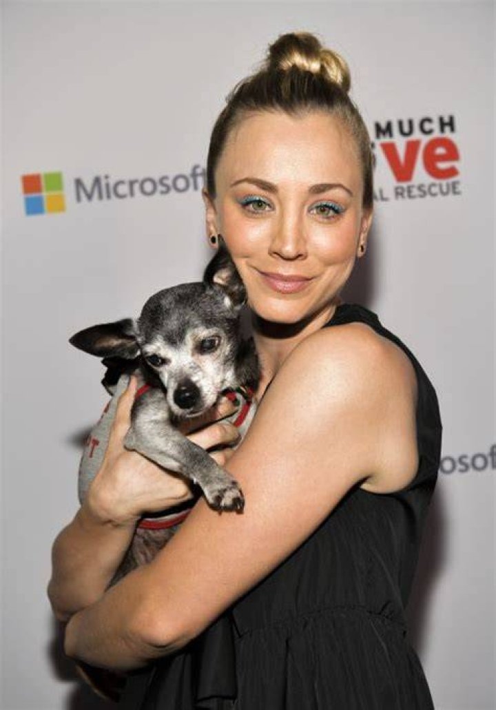 Much Love Animal Rescue 3rd Annual Spoken Woof Benefit