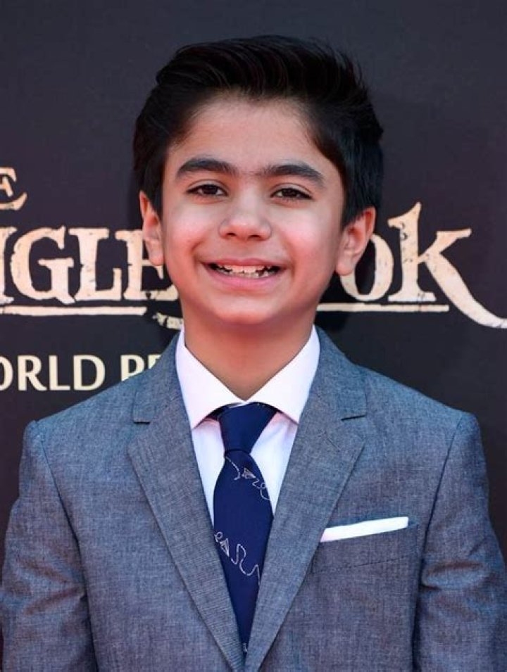 Neel Sethi Bio (Wiki) 
